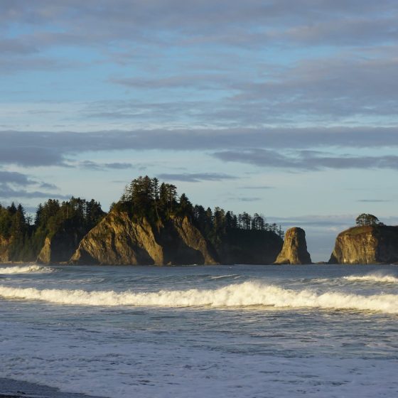 washington state shoreline